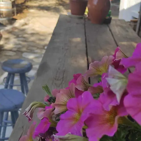 Bed & Breakfast Gabriellas Garden Palaiokastro (Crete)